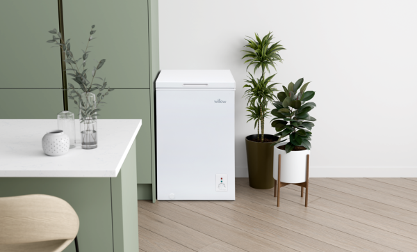 How to choose the most energy-efficient chest freezer?